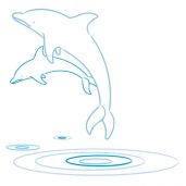 L´ami dauphin sticker mural