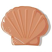 Coquille St Jacques sticker