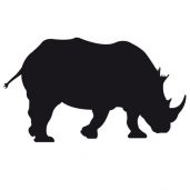 Rhinocéros ardoise sticker